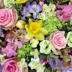 spring colours