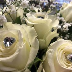 simply rose white