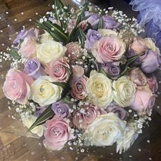 simple rose pastel