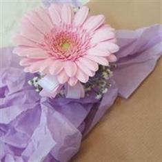 germini wristlet