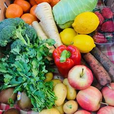 fruit and Vegetable box 3