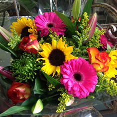bright and cheery